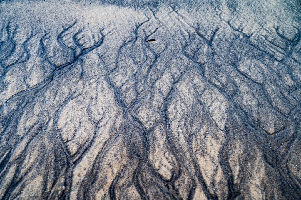Photo of the sandy beach and nature details.